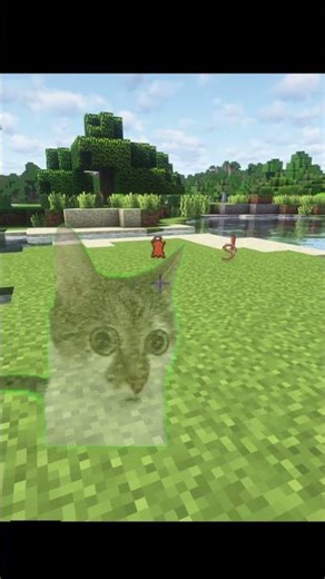 Is it magic? #minecraft #gaming