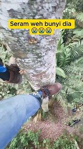 3.1K views · 13 reactions | Dpt info abg ni dah m...see--mo0.re | Blog Mazeer | Facebook