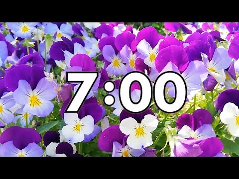 7 Minute Spring Countdown Timer - Calming Music