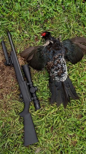 Throwback to @dannybolton with a quick trip to the farm to make some memories with his Volquartsen. | Volquartsen Custom