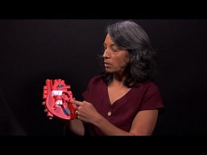 2025 InnoVision Awards Education Finalist USC College of Nursing and CardioEducator by NursEdvance