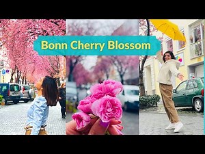 Bonn Germany | Best Place For Cherry Blossoms | BTS @Jeanette Draeger