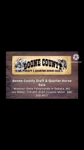 Boone County Draft and Quarter Horse Sale Tack, Antiques, Carriages selling Wed. September 6, 2023 | Boone County Draft Horse and Mule Sale