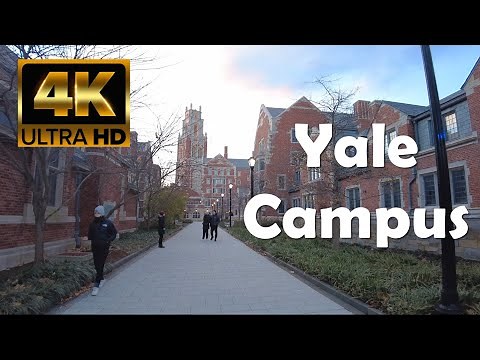Yale University | 4K Campus Walking Tour