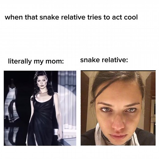 lol bruh #foryouuuuuuuuuuuuuuuuuuuuu #frrrrrrrpppppppppppppppppppppp #fypppppppppppppppppppppp #foryoupageofficiall #foryoupage #forreal #trendingvideo