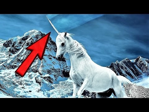 18 Coolest National Animals