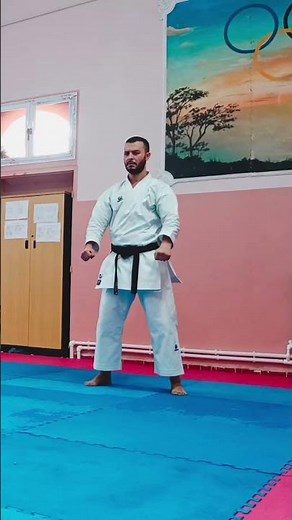 Heian Godan – Power vs Form | Shotokan Karate