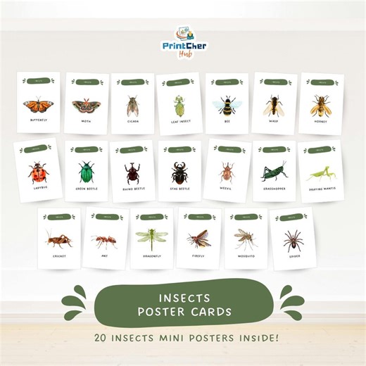 Insects Poster Cards Printable | Montessori Animal Mini Posters for Classroom & Homeschool - Etsy