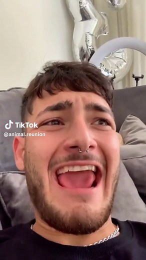 Chihuahua Care Tips for New Pet Owners