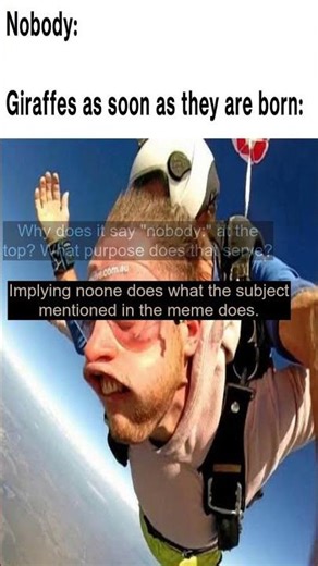 Is silicon valley hiring? - Dankest memes and comments Sunday November 16th!