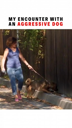 241K views · 3.7K reactions | How To Properly Walk A Dog. In this clip from Cesar 911, I teach a dog owner how to better control her dog on a leash. The first step is teaching her how to properly walk the dog. The key is to have no tension on the leash unless it is required that way there is no anticipation of bad behavior. Remember: aggression is the symptom, not the problem. First figure out the problem and then symptom will resolve itself. | Cesar Millan | Facebook