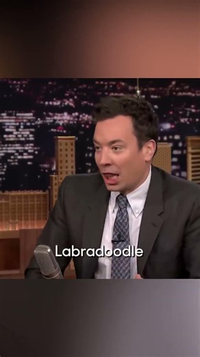 Jimmy Fallon & Margot Robbie Whisper Challenge 😂 Too Funny!