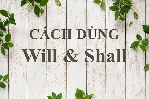 Phân biệt cách dùng will và shall trong thì tương lai đơn
