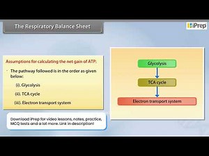 The Respiratory Balance Sheet | Respiration in Plants | Biology | Class 11th | iPrep