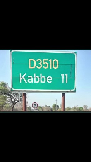 Exploring Urban Landscapes in White T-Shirt