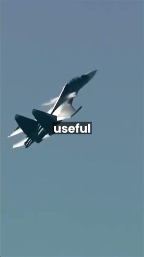 Why the Su-30 Still Scares the Sky ✈️ #Su-30