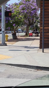 15K views · 89 reactions | Taunting delivery robots? This is how the end of the world starts.... Funny Videos Want to be featured? Message us videos you filmed to be featured on the page! | Funny Videos | Facebook