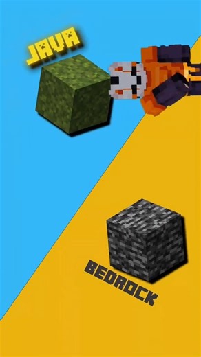 Java vs Bedrock Minecraft #minecraft