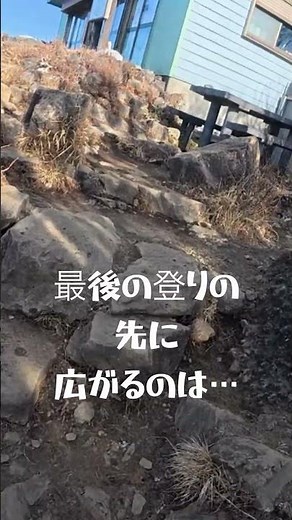 でっかい富士山！初心者おすすめ最高の眺望 #登山 #富士山 #金時山
