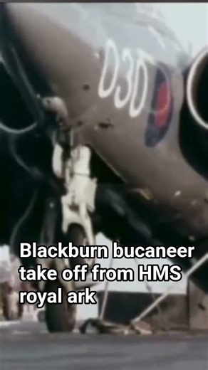 bucc takes off fron the ark