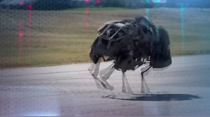 22K views · 389 reactions | Computers that can walk, talk and think for themselves are changing the world forever. Artificial intelligence could be the greatest thing to ever happen to us, or the worst thing… | CNBC | Facebook