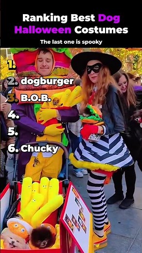 #58 Ranking Best Dog Halloween Costumes