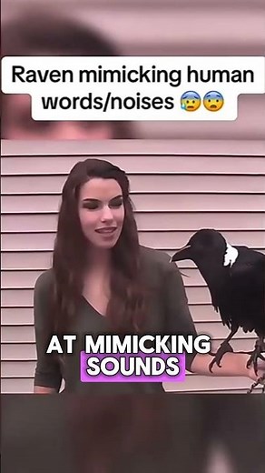 Watch This Raven Mimic Human Speech Like a Pro!