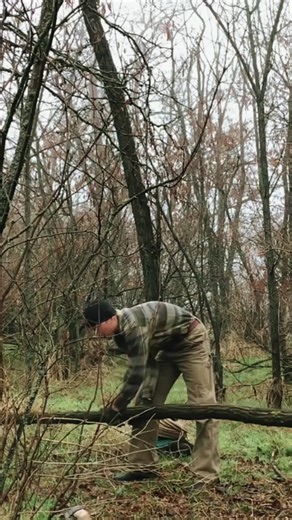 Building flying hut in the forest#bushcraft #outdoor #survival #build #craftingvisionary #fyp