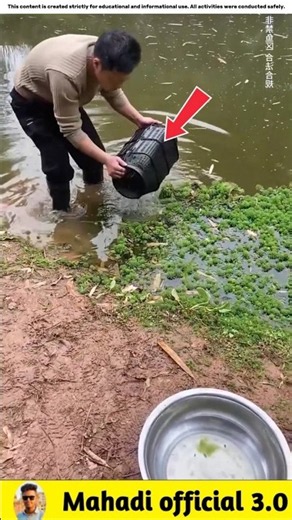 You’ll Be Amazed at How This Man Catches Fish With a Piece of Beef🐟#viralvideo #facts #fishinggea...