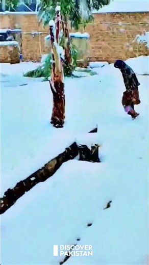 Snowfall in Chaman and Northeastern Balochistan ❄️| Discover Pakistan shorts