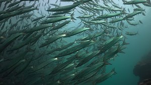 21K views · 1.2K reactions | 04.03.2023 For the first 30 minutes of...