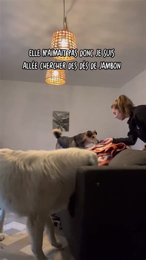 11 ans et voici son premier contact affectueux avec un humain 🥺🥺 #rescuedog