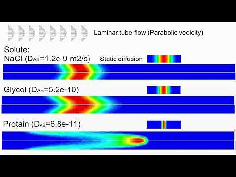 Taylor dispersion (Impulse input and response in laminar tube flow)