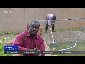 Fish farming on the rise in Uganda