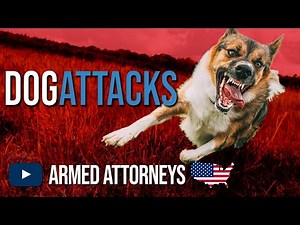Self-Defense Against Dog Attacks - Why You Must Plan