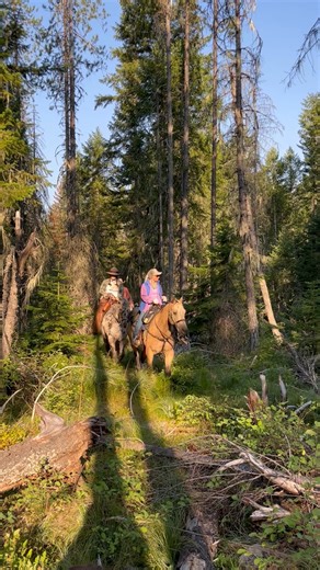 Come experience history on the ride of a lifetime! The Chief Joseph Trail ride segment this year will be the Bighorn Battle Field (Darby, Montana to Wisdom, Montana). Join us for 6 days of fun, friendship, adventure, and history. 🐴🌲 For any questions or for more information go to: https://www.appaloosa.com/chief-joseph-trail-ride or contact trail ride manager Rodd Baxter at (208)882-5578 ext 250. | Appaloosa Horse Club