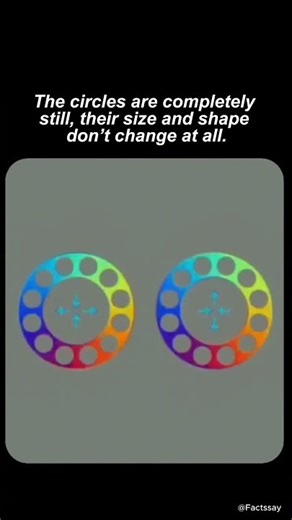 This Isn’t Moving… Your Brain Is...
