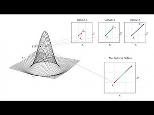 What is Optimization - A Detailed Introduction | Function Optimization | Global Optimization