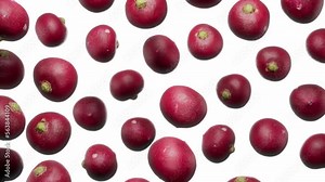 Looping animation featuring a cloud of Radishes floating in place on a featureless white background.