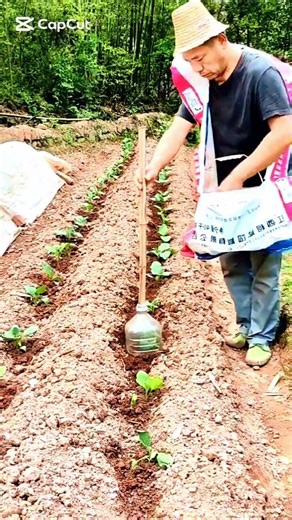 🌿🛠Soil Refilling with Simple DIY Plant Protection
