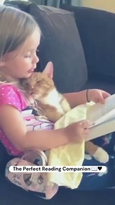 29K views · 1.2K reactions | The Perfect Reading Companion❤️ That reading moment with the cat. So cute... #bookloversandcats #bookstagram #readingcommunity #booklovers | English Literature info | Facebook