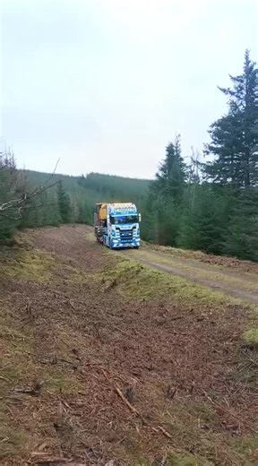Exploring the Power of Scania Trucks in Forestry