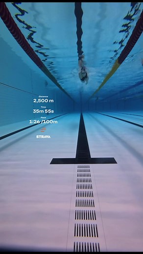 Enhance Your Swimming Routine with Shokz Headphones