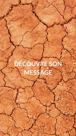 Les animaux communiquent avec nous, même s’ils ne parlent pas nos langages, ils ont leurs propres voies d’échange. Ils utilisent des changements d’énergie, de comportement et d’habitudes pour nous transmettre des messages importants, que ce soit pour leur bien-être ou pour nous aider à guérir ou à prendre conscience de quelque chose. Ils peuvent aussi avoir simplement des messages à faire passer, pour leur bien-être ou celui de leur humain. Et ce message n’est pas forcément de portée « hyper spi