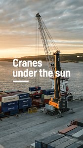 1.1K views · 370 reactions | Rhythmic crane movements, a breathtaking...