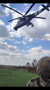 Ulmus Rubra on Reels