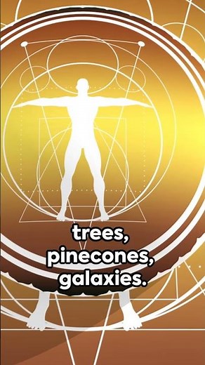 Fibonacci Day: The Magic of Numbers Hidden Everywhere!