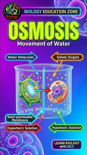 Osmosis Explained in 30 Seconds | Process of Osmosis Made Easy | Biology Shorts #biology