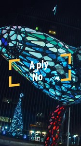 High-quality education at a top-ranked university isn't far away. Apply by April 7 for Fall 2025 eligibility. | University of Nevada, Reno