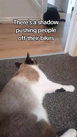 #xfm #karlpilkington #rickygervaisshow